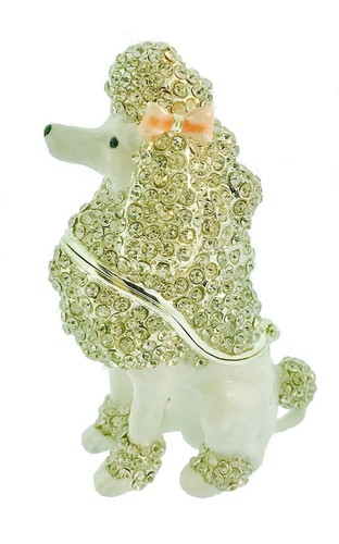 Standard white poodle - standard,