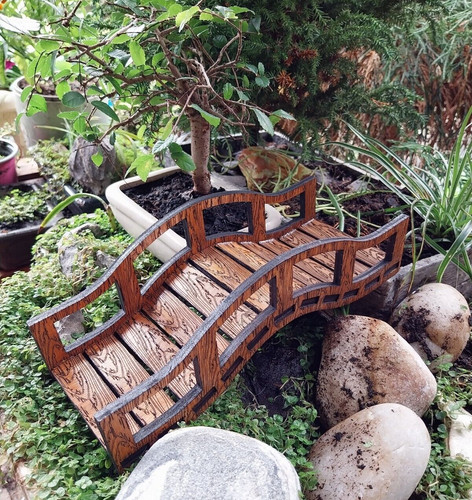 Bonsai decoration japanese - bonsai,