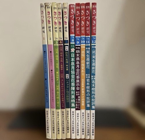 Satsuki kenkyu magazine - satsuki, 10