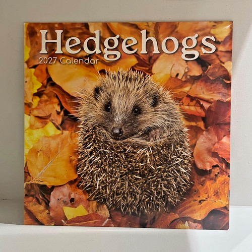 Hedgehogs month 2027 wall - 16,