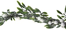 White berry snow - berry, frost