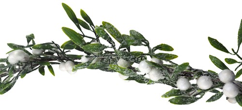 White berry snow frost - 1.5m,