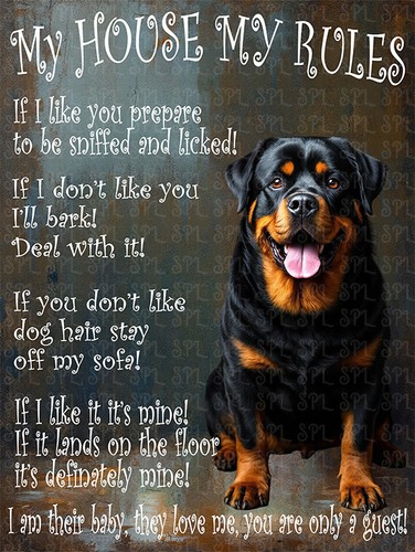 Rottweiler house rules - house, my
