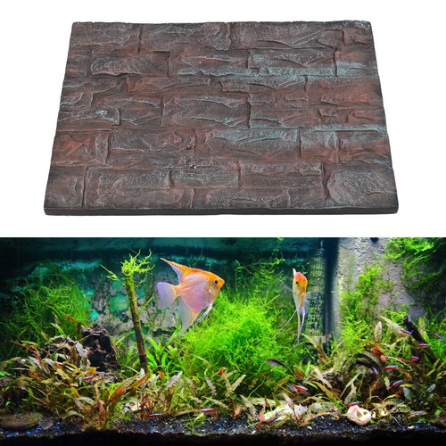 Fish tank background wall - fish,