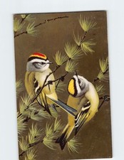 Postcard Golden-Crowned