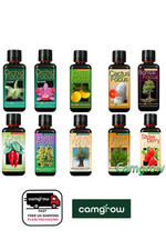 Orchids Chillies,& More