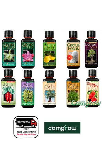 Orchids chillies more - orchids, chillies,&