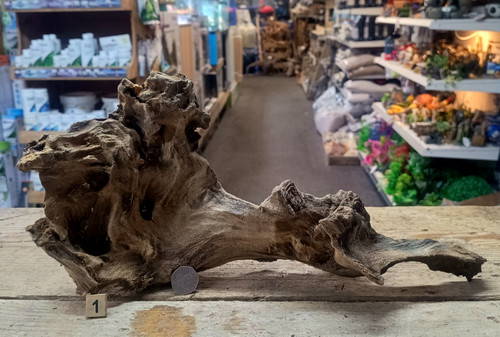 Derwen oak bogwood - oak,
