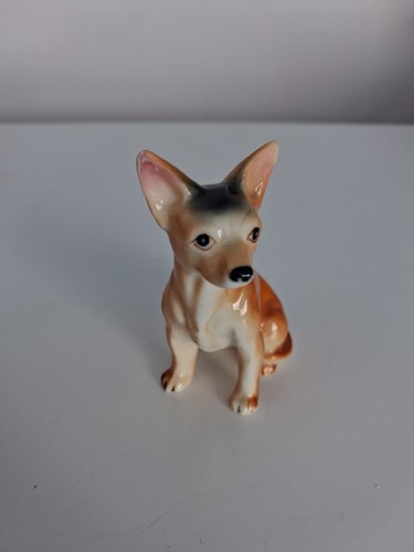 1950s chihuahua dog - chihuahua,