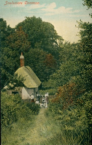 Snelsmore common newbury - common,