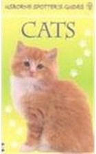 Cats (Usborne Spotter's Guide)