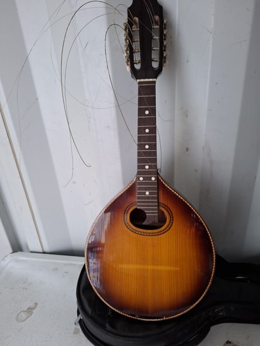Vintage mandolin musical - vintage,