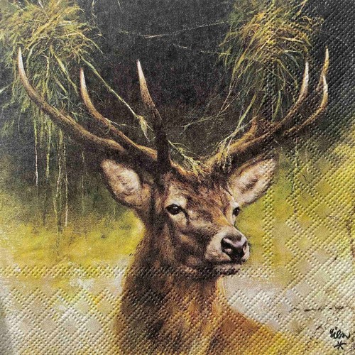 Luncheon paper napkins - 2,