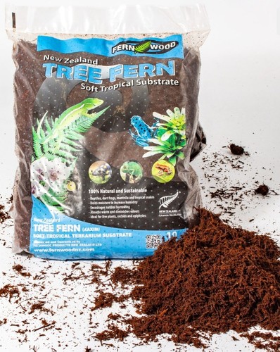 Fernwood tree fern substrate - tree,