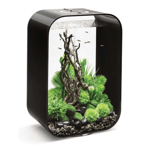 Biorb life aquarium with - biorb,