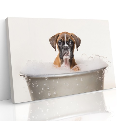 Cute boxer pup - in, bubble