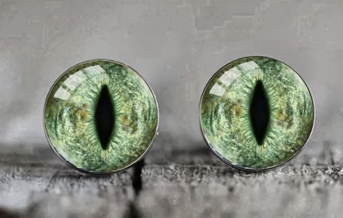 Cats eyes earrings for - eyes, women