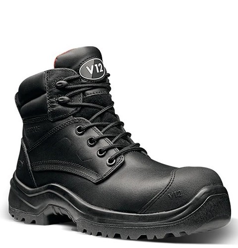 V12 v1801 ibex safety - v12,