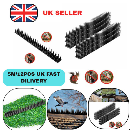Bird spikes for pigeon - bird,