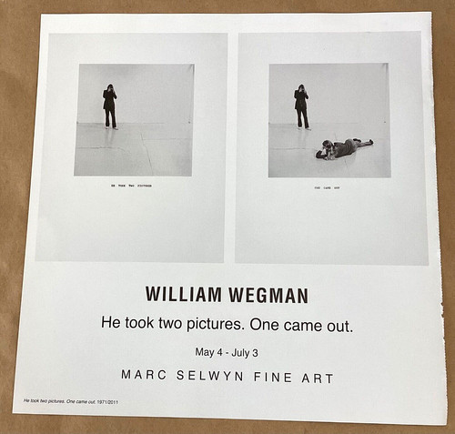 William wegman selwyn - william, at