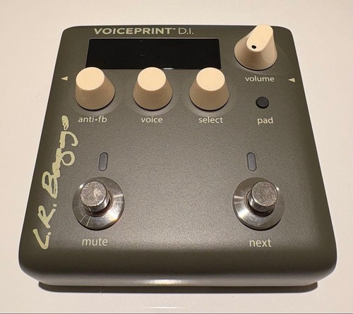 Baggs voiceprint d - baggs,