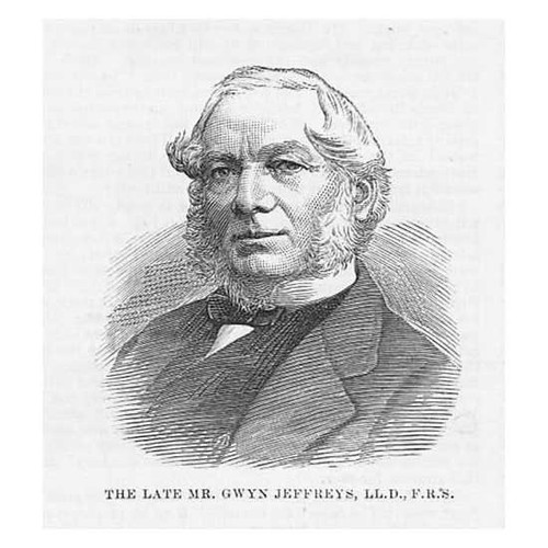 Gwyn jeffreys welsh - jeffreys,