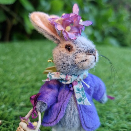 Rabbit with purple jacket - purple, by