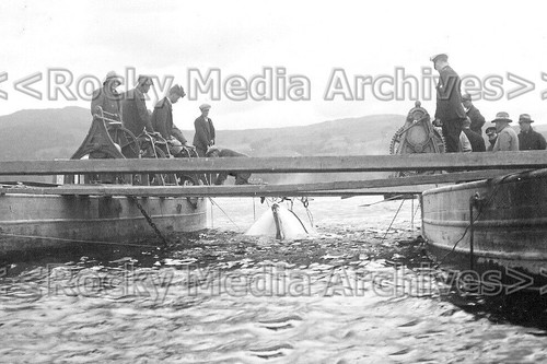 Khh raising miss england ii - khh-9,