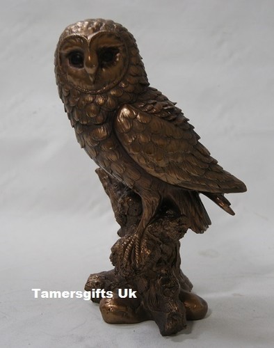 Cold cast bronze barn - cast, owl