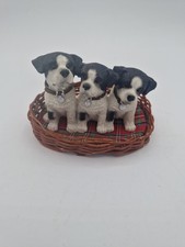 Jack Russell Puppies In Wicker