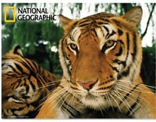 National Geographic 3D lenticular postcards