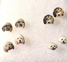  Spaniel Bichon Maltese