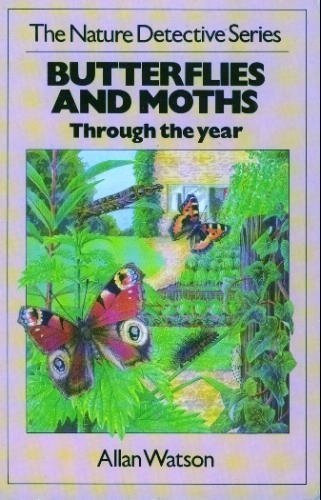 Butterflies and moths nature - and, (nature