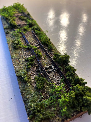 Gauge overgrown trackside - oo,
