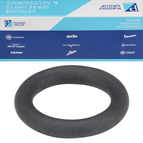 Gasket ring injector - gasket,