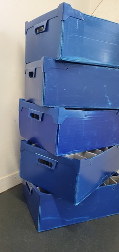 Flute glass storage boxes 5 - flute, boxes.