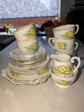 Roslyn Vintage Fine Bone China