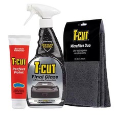 T-Cut Perfect Paint 150g &