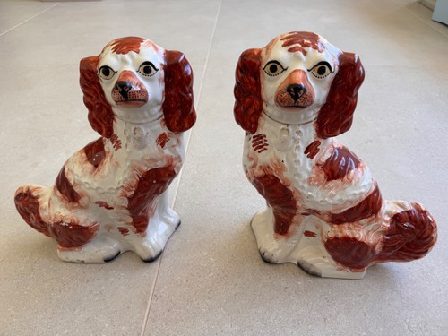 Pair king charles spaniels - charles,
