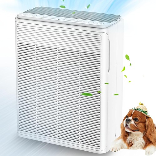 Air purifier for home large - air,