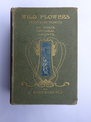 Wild flowers month - flowers,,