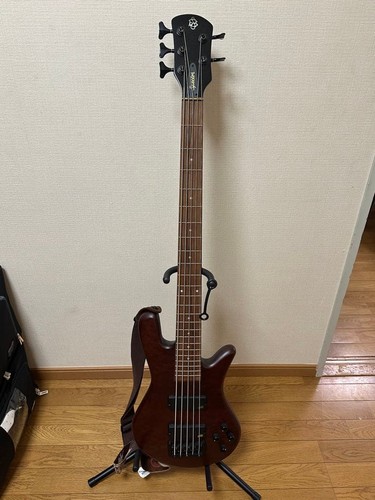 Spector string electric - 5-string, bass