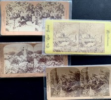 Lot of 4: Wild Mink Birds