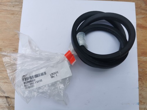 Genuine billy goat vac belt - billy,