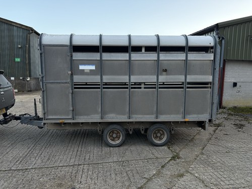 Ifor williams sheep - /, cattle