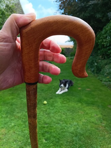 Hand carved walking stick - hand,