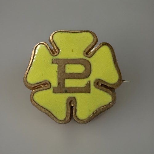 Vintage primrose league - primrose,