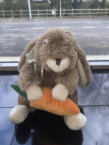 Easter bunny rabbit - bunny, soft