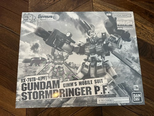 100 gundam stormbringer - 1/100,