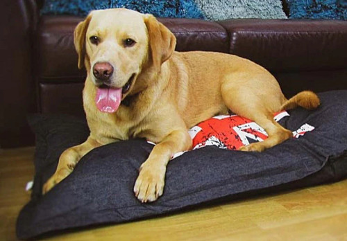 Union jack dog bed lounger - dog,